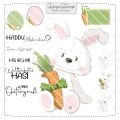 Bild 1 von Möhrchen DigiStamp