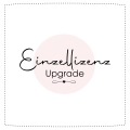 Einzellizenz Upgrade