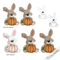 Bild 2 von Kürbis Hasi DigiStamp inkl. Digipaper